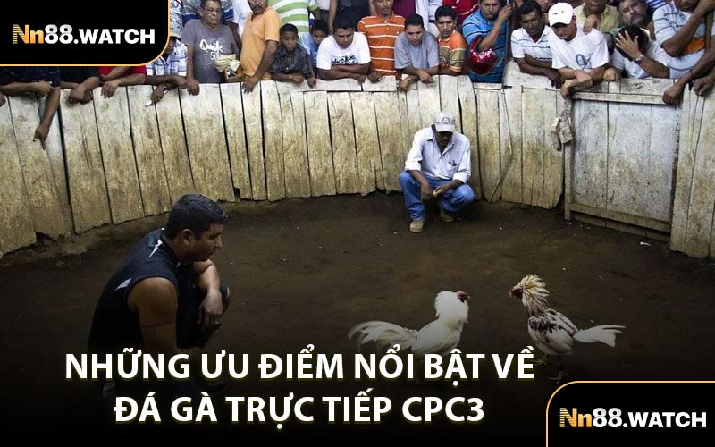 Những Ưu Điểm Nổi Bật Về Đá Gà Trực Tiếp CPC3 
